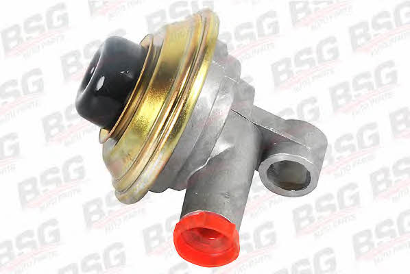 BSG 30-150-004 Fuel pump 30150004