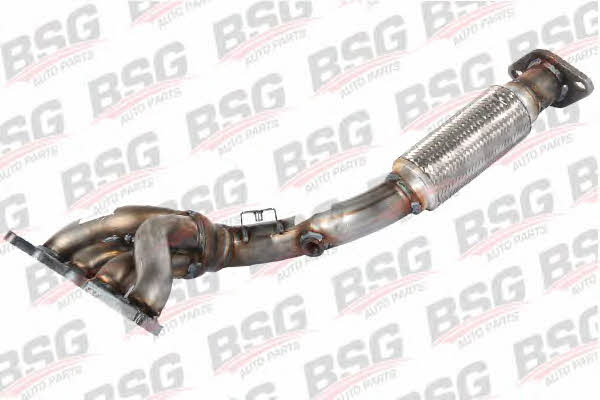 BSG 30-165-006 Exhaust pipe 30165006