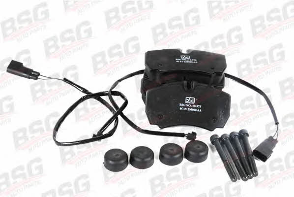 BSG 30-200-008 Brake Pad Set, disc brake 30200008