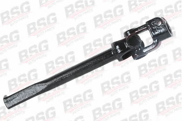 BSG 30-365-001 Steering shaft flexible coupling 30365001