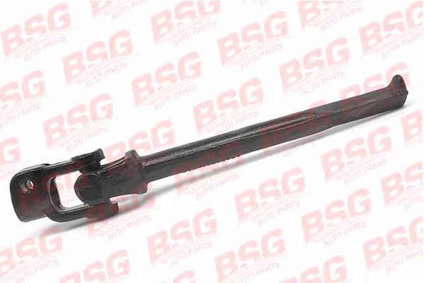 BSG 30-365-002 Steering shaft flexible coupling 30365002