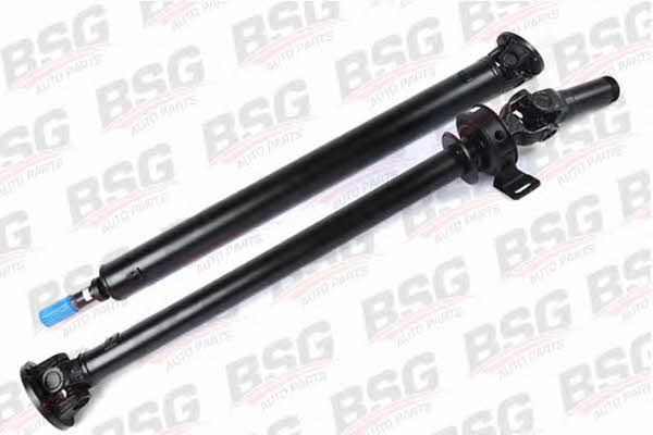 BSG 30-450-001 Propeller shaft 30450001