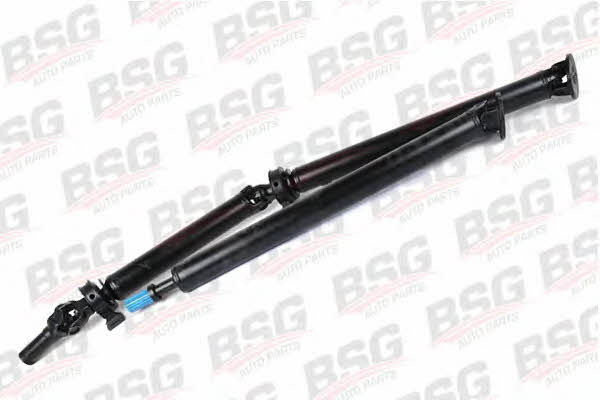 BSG 30-450-002 Propeller shaft 30450002