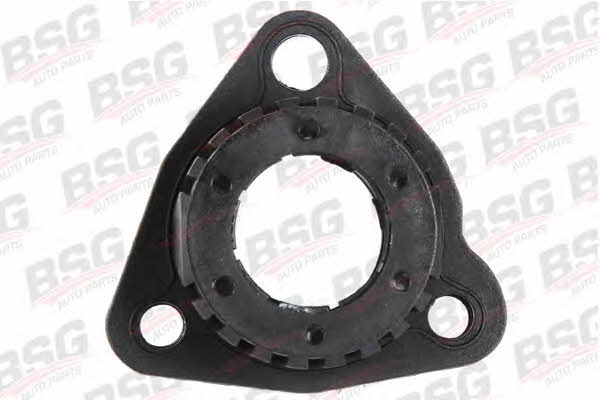 BSG 30-465-002 Repair Kit for Gear Shift Drive 30465002