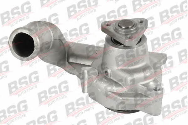 BSG 30-500-011 Water pump 30500011