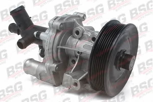 BSG 30-500-019 Water pump 30500019