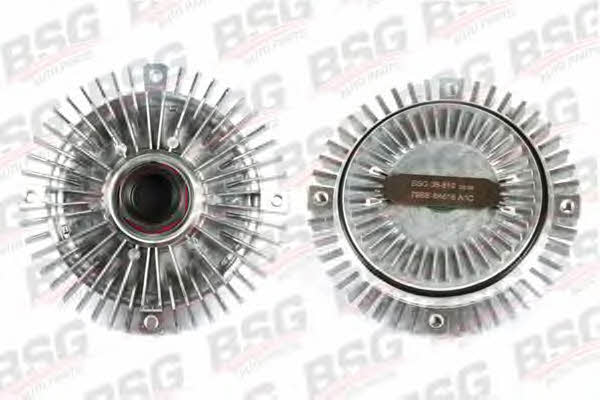 BSG 30-505-001 Viscous coupling assembly 30505001