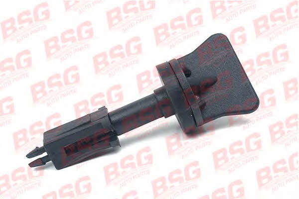 BSG 30-521-001 Breather Screw/Valve, radiator 30521001