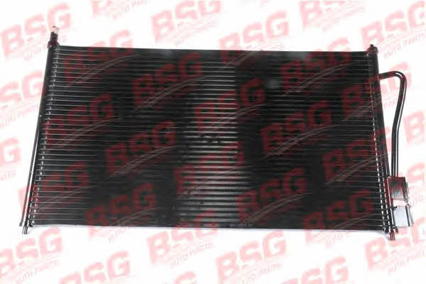 BSG 30-525-002 Cooler Module 30525002