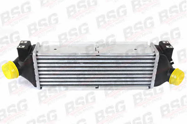 BSG 30-535-002 Intercooler, charger 30535002
