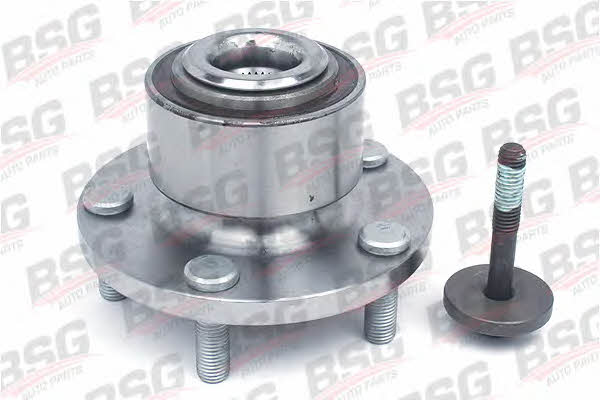 BSG 30-600-001 Wheel hub with front bearing 30600001