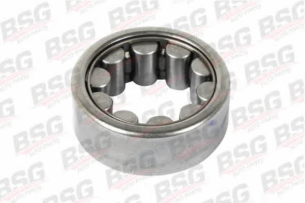 BSG 30-605-017 Wheel bearing kit 30605017
