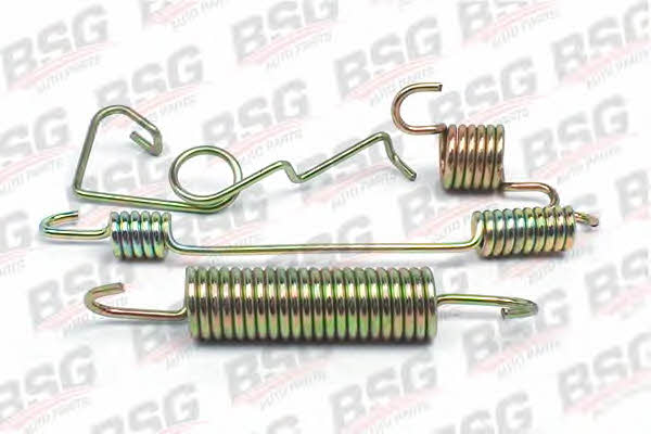 BSG 30-260-003 Brake pad spring 30260003
