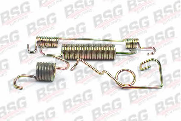 BSG 30-260-004 Brake pad spring 30260004
