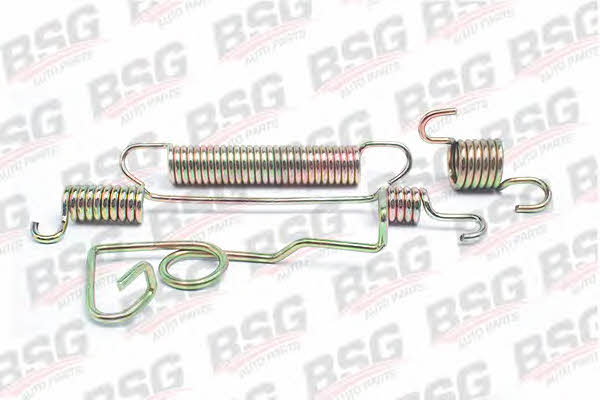 BSG 30-260-005 Brake pad spring 30260005