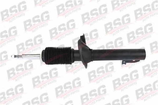 BSG 30-300-008 Front oil and gas suspension shock absorber 30300008