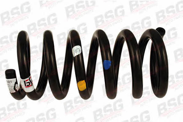 BSG 30-305-001 Suspension spring front 30305001