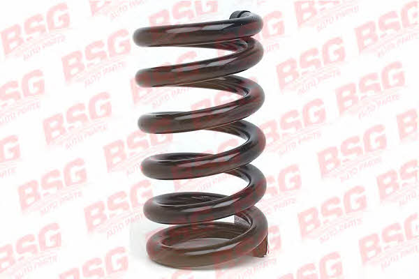BSG 30-305-002 Suspension spring front 30305002