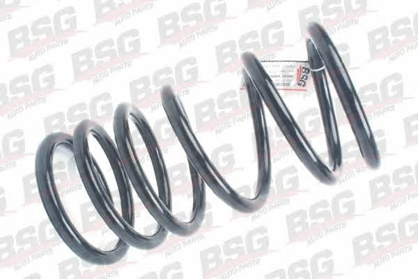 BSG 30-305-004 Suspension spring front 30305004