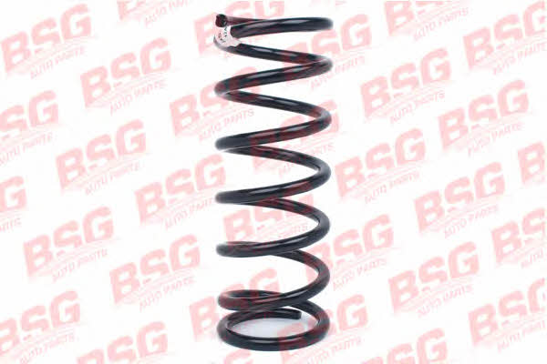 BSG 30-305-009 Suspension spring front 30305009