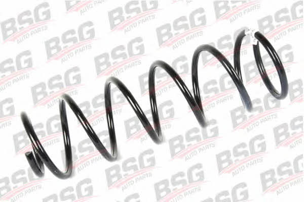 BSG 30-305-012 Suspension spring front 30305012