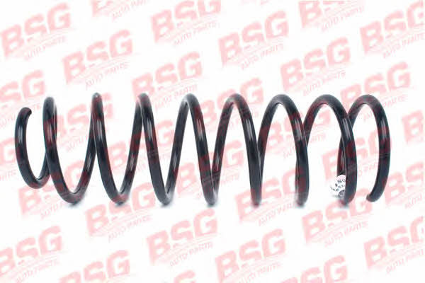 BSG 30-305-015 Suspension spring front 30305015