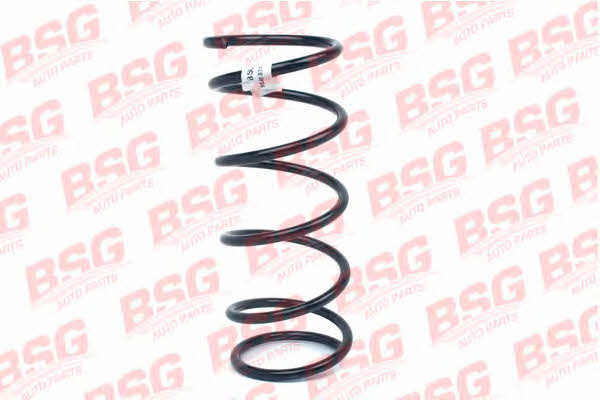 BSG 30-305-017 Suspension spring front 30305017