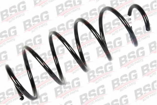 BSG 30-305-021 Suspension spring front 30305021