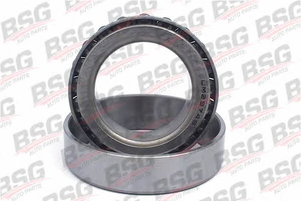 BSG 30-650-006 Differential bearing 30650006