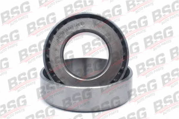 BSG 30-650-007 Differential bearing 30650007