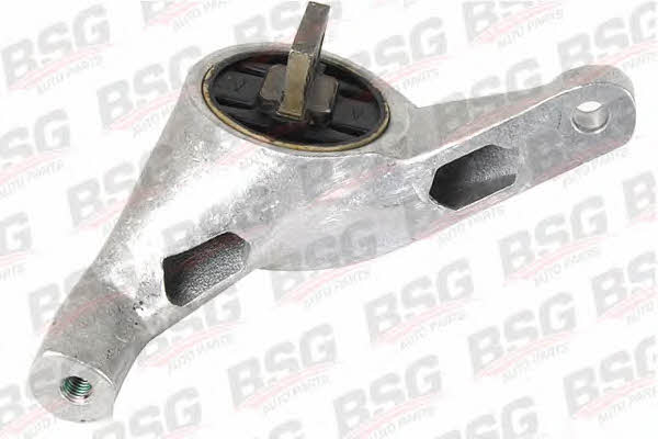 BSG 30-700-166 Engine mount 30700166