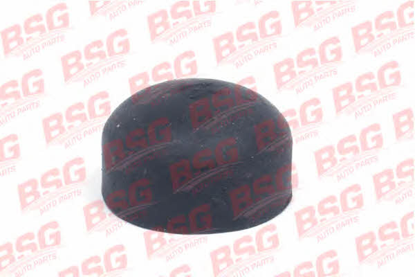 BSG 30-700-366 Rubber damper 30700366