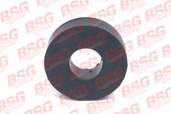 BSG 30-700-369 Termostat gasket 30700369