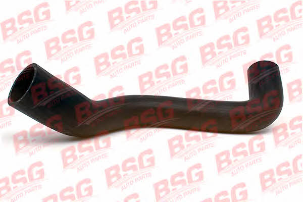 BSG 30-720-001 Refrigerant pipe 30720001