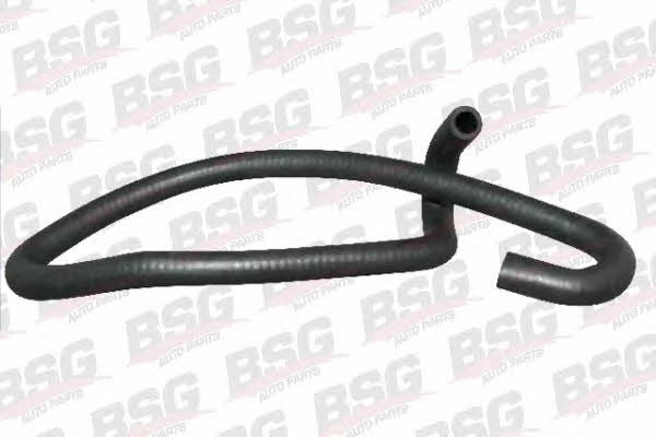 BSG 30-720-013 Heating hose 30720013