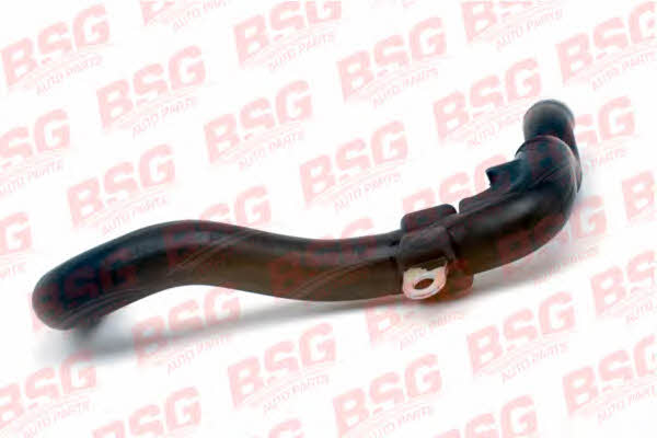 BSG 30-720-017 Refrigerant pipe 30720017