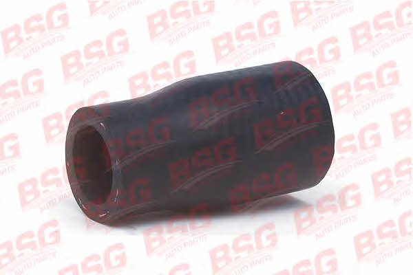 BSG 30-720-018 Refrigerant pipe 30720018