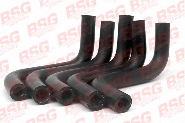BSG 30-720-022 Breather Hose for crankcase 30720022