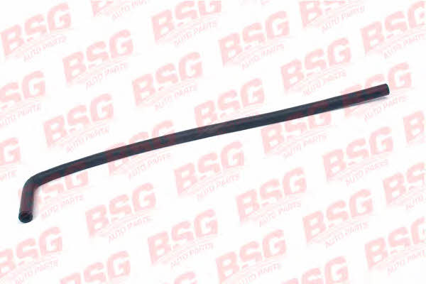 BSG 30-720-029 Heating hose 30720029