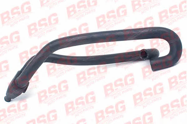BSG 30-720-039 Heating hose 30720039