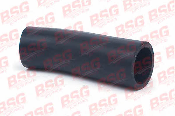 BSG 30-720-077 Refrigerant pipe 30720077