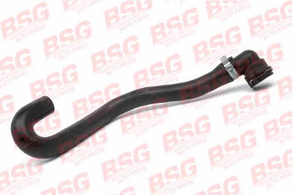 BSG 30-720-081 Heating hose 30720081