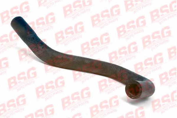 BSG 30-720-085 Heating hose 30720085