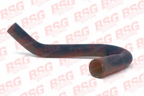 BSG 30-720-089 Heating hose 30720089