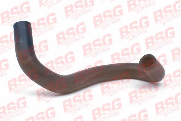 BSG 30-720-091 Heating hose 30720091