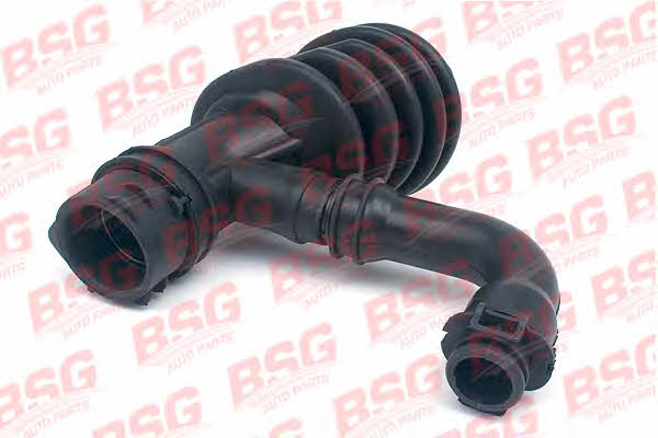 BSG 30-720-093 Inlet pipe 30720093