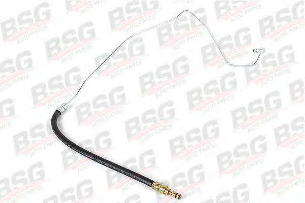 BSG 30-725-001 Clutch hose 30725001