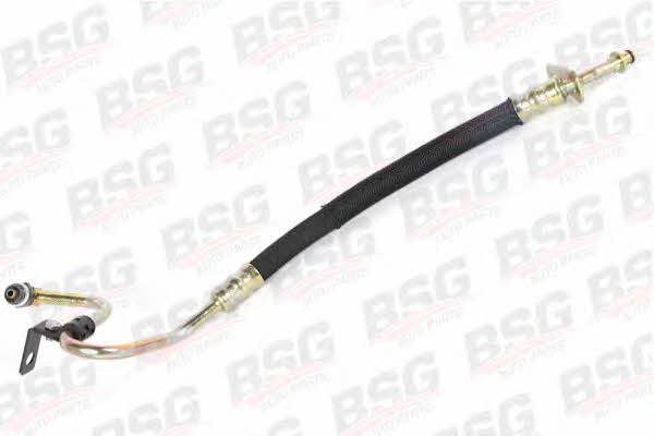 BSG 30-725-005 High pressure hose with ferrules 30725005