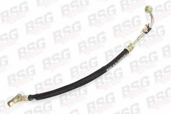 BSG 30-725-006 High pressure hose with ferrules 30725006