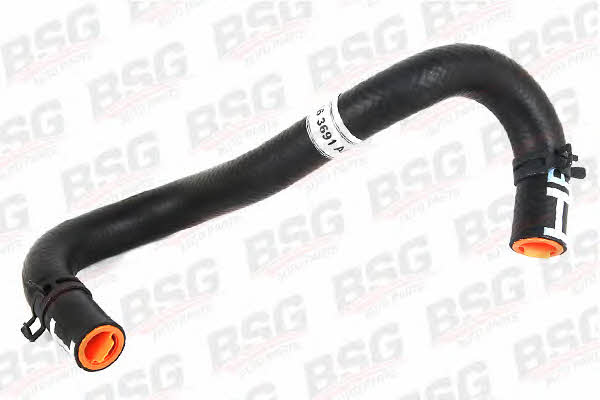 BSG 30-725-052 High pressure hose with ferrules 30725052
